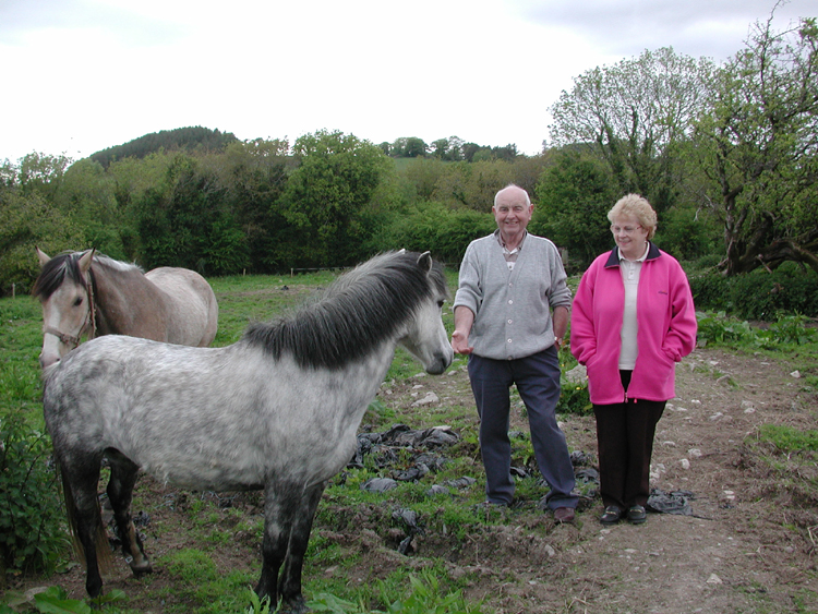 Tommy and Maura Bradfield at Killowen with horses.jpg 435.7K